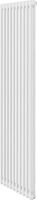 Стальной трубчатый радиатор Royal Thermo Insignia VC2180 - 10 секций RAL9016 - фото