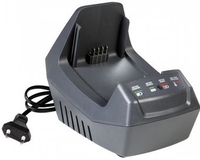 Зарядное устройство Oleo-Mac 5403-0007 (40В) - фото