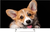 Телевизор Topdevice 43" SMART TV YаOS 03 (белый) - фото