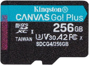 Карта памяти Kingston Canvas Go! microSDXC 256GB SDCG4/256GBSP - фото