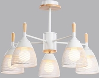 Подвесная люстра Sundays Home R-25 6211 (с лампами Е27 12W 4100K 5шт) - фото