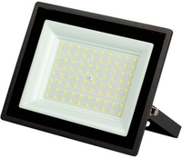 Уличный прожектор ЭРА LPR-023-0-40K-070 - фото