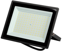 Уличный прожектор ЭРА LPR-023-0-40K-100 - фото