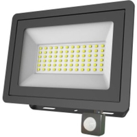 Уличный прожектор ЭРА LPR-042-2-65K-050 - фото