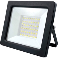 Уличный прожектор ЭРА LPR-042-3-65K-050 - фото