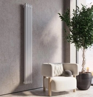 Дизайн-радиатор Faberg Extra 2 (4 секций, белый матовый RAL-9016) - фото