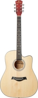Акустическая гитара ROKSO FT-221-N - фото