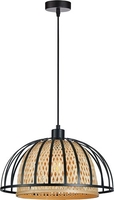 Подвесная люстра Arte Lamp Woodstock A7071SP-1BK - фото
