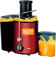 Соковыжималка RAF R.2817R - фото