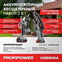 Profipower ProfiSet-2G20 E0217 (цепная пила, секатор, 2 АКБ) - фото