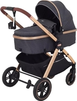 Универсальная коляска Rant Basic Roller Gold RA161 (2 в 1, grey) - фото