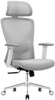 Офисное кресло Evolution ErgoLine 2 (серый) - фото