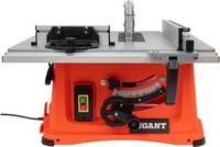 Распиловочный (циркулярный) станок Gigant TSJ-254-2050 - фото