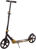 Двухколесный подростковый самокат Favorit 2031DG-OL - фото