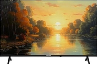 Телевизор Premier 43PRM705SV - фото