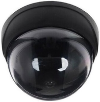 Муляж Orient AB-DM-24 - фото