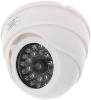 Муляж Orient AB-DM-25W - фото