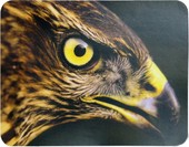 Коврик для мыши Buro BU-M40005 "Орёл" - фото