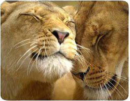 Коврик для мыши Buro BU-M40030 - фото