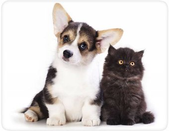 Коврик для мыши Buro BU-M40095 - фото