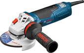 Угловая шлифмашина Bosch GWS 19-125 CIE Professional [060179P002] - фото