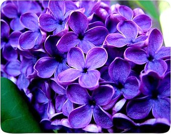 Коврик для мыши Buro BU-M20049 - фото