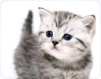 Коврик для мыши Buro BU-M40087 - фото