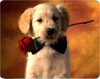 Коврик для мыши Buro BU-M40089 - фото