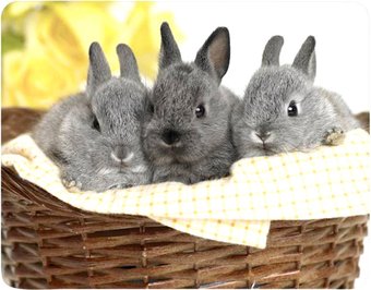 Коврик для мыши Buro BU-M40092 - фото