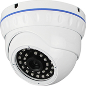 IP-камера Longse LS-IP100/42 - фото